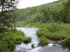 Salmon Lake outlet
